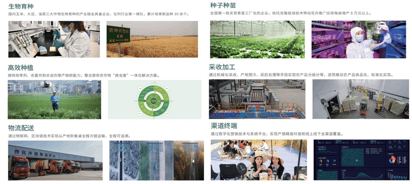 從研發(fā)培育到生產銷售終端全流程標準化打造 