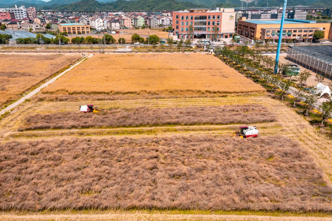 1715940305673016D5ih.jpg 6.jpg