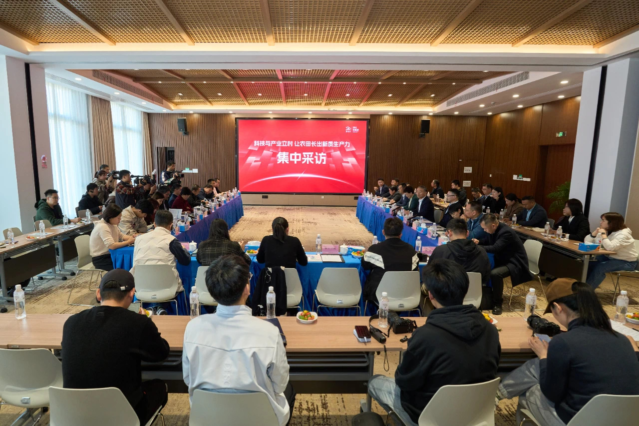 1733277548308990NisM.jpg 2.jpg