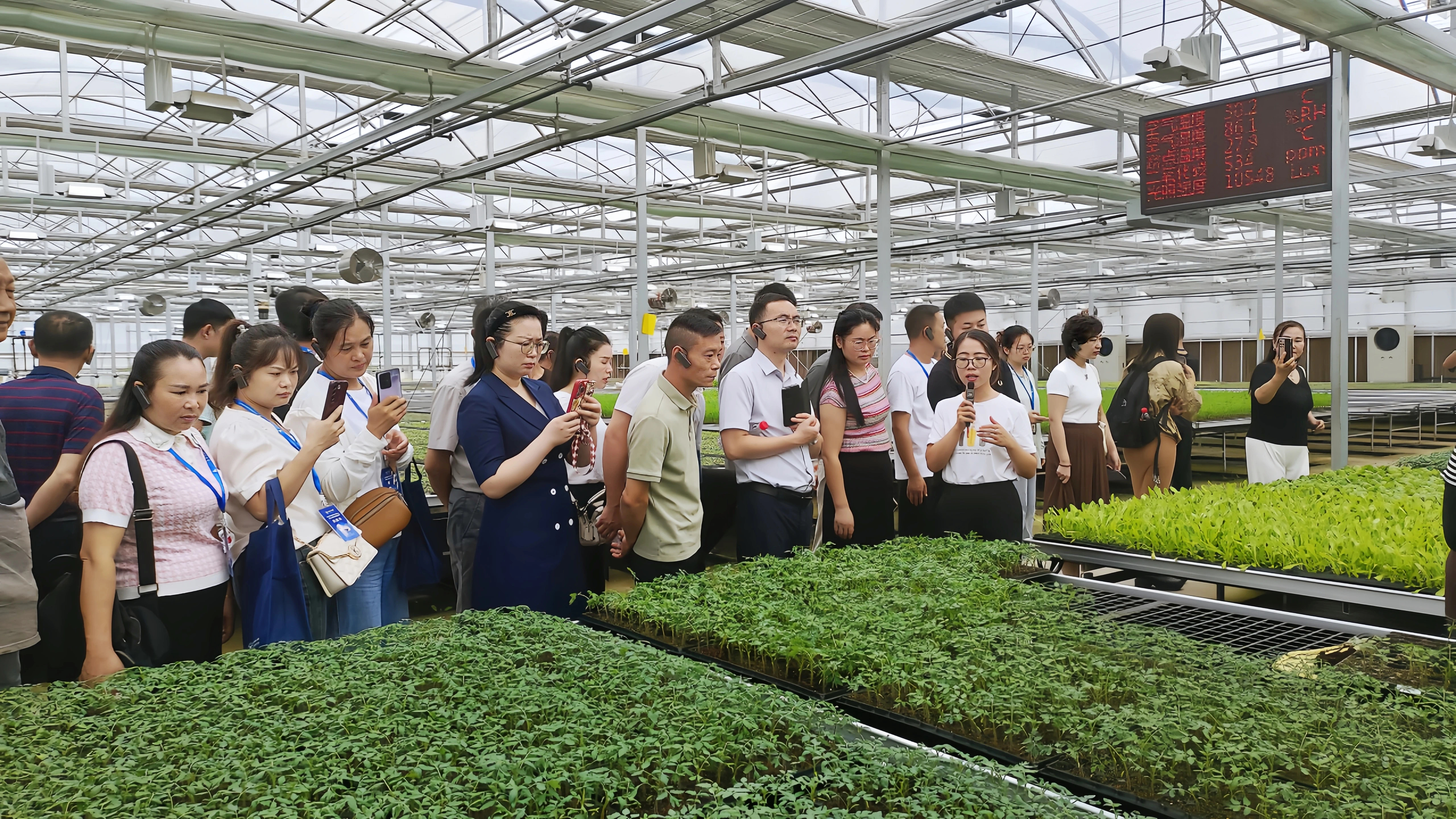 17332777333655427iHA.jpg 12.jpg